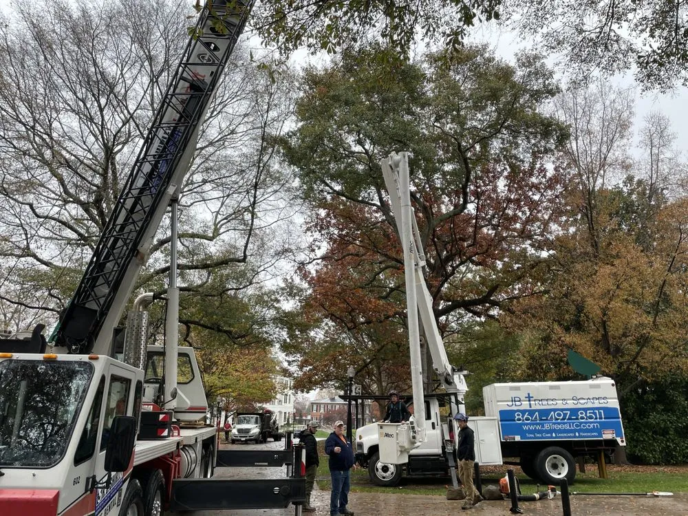 Local landscaping services for outdoor upgrades across Landrum, SC - JB Trees & Scapes