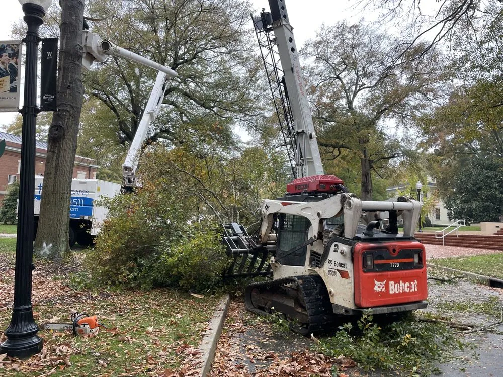 Professional garden landscaping experts serving Landrum, SC - JB Trees & Scapes
