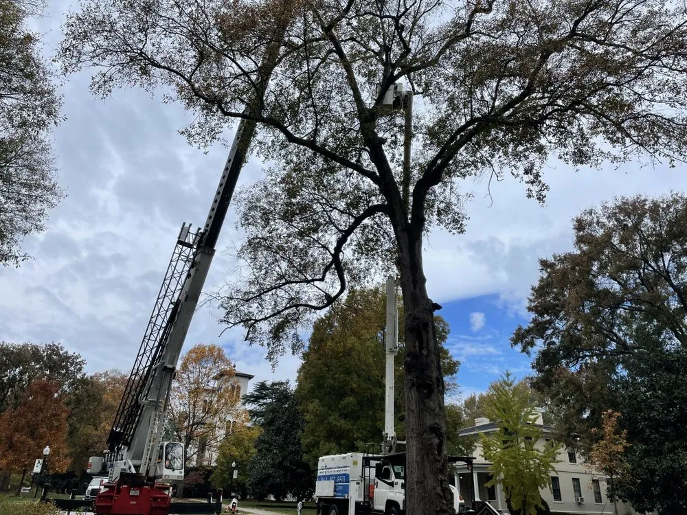 Affordable landscape installation with custom design across Landrum, SC - JB Trees & Scapes