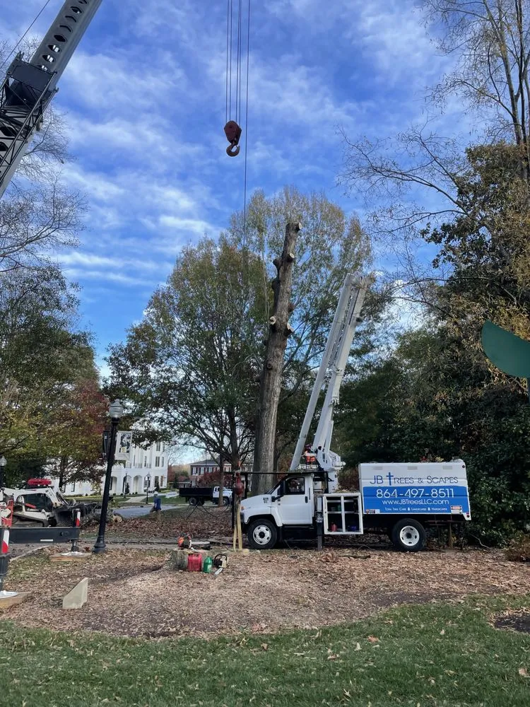 Custom outdoor landscaping near you in Landrum, SC by JB Trees & Scapes