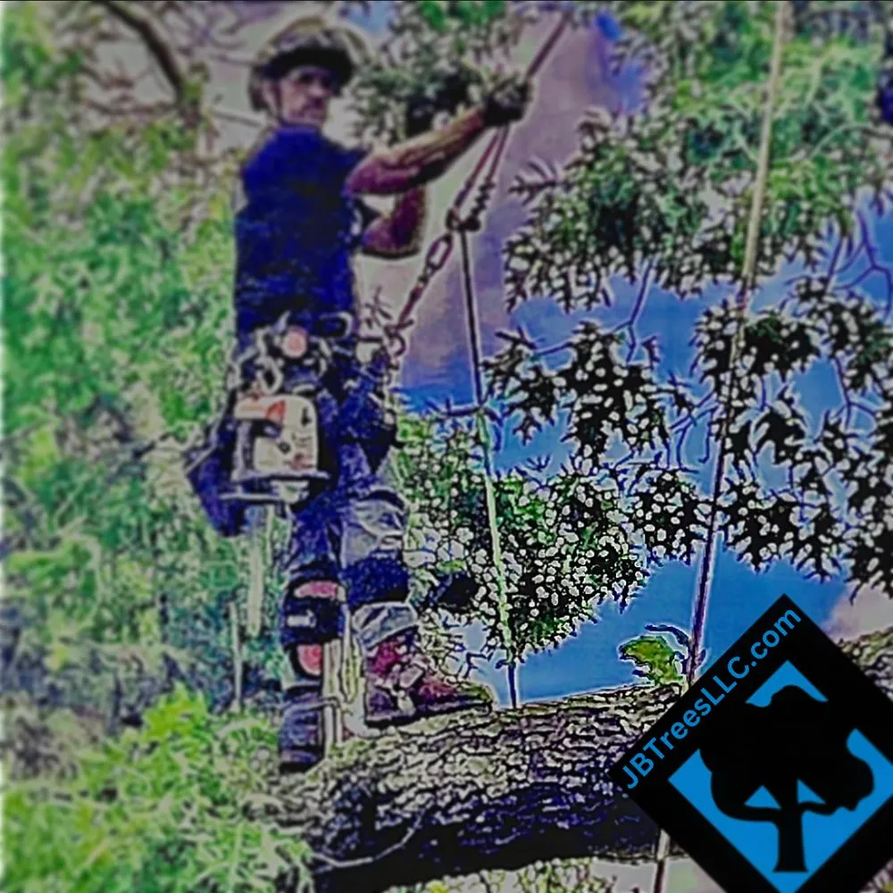 Top-rated landscape design in Landrum, SC - JB Trees & Scapes