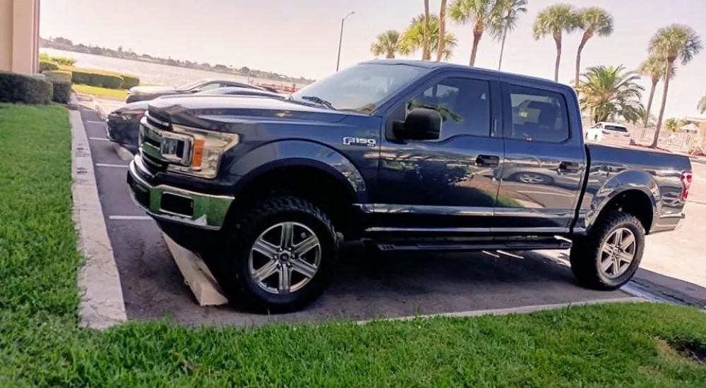 Professional landscape installation in St. Petersburg, FL by J&b Trees and Landscaping