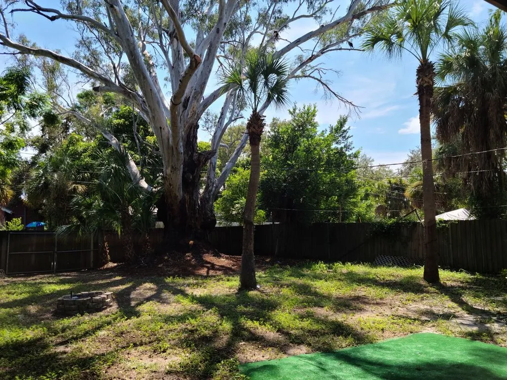 Affordable outdoor landscaping in St. Petersburg, FL by J&b Trees and Landscaping