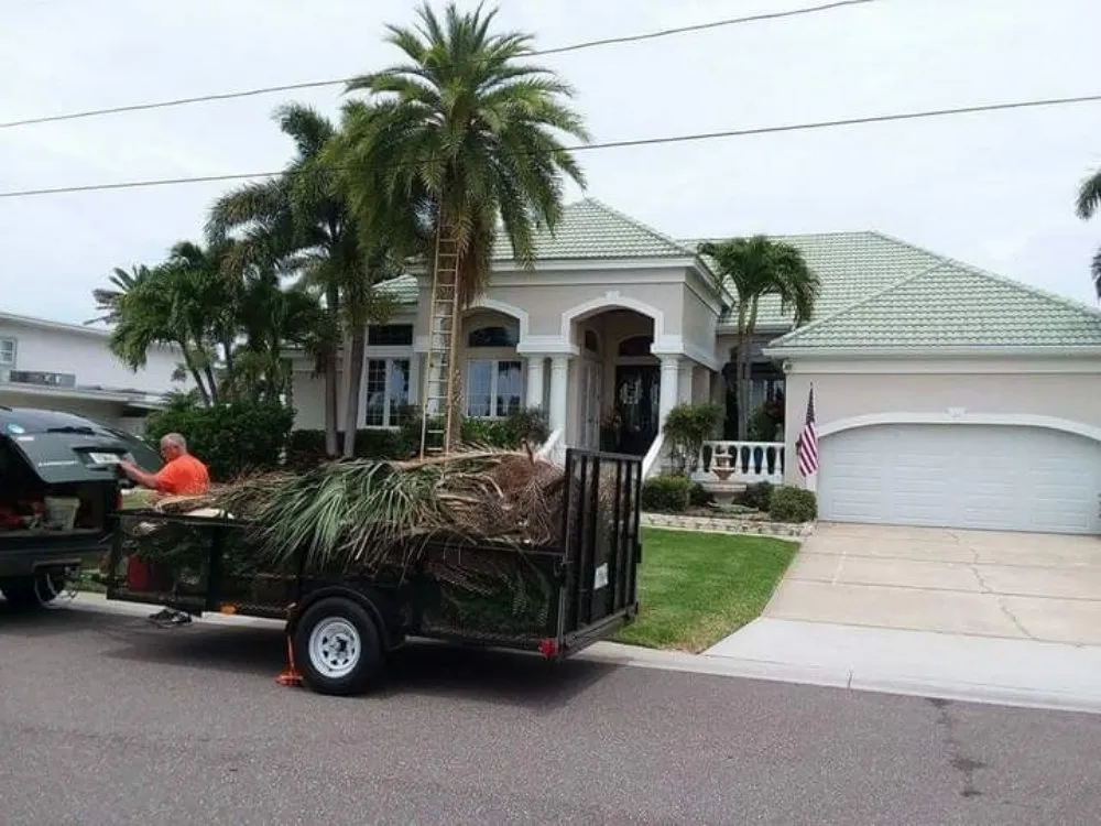 Trusted landscape design for homes in St. Petersburg, FL by J&b Trees and Landscaping