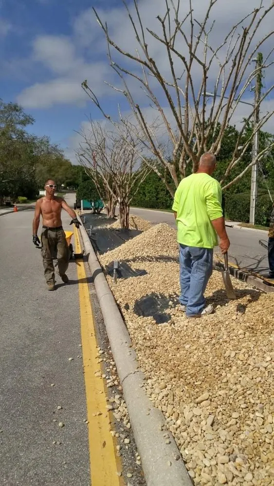 Expert yard maintenance with custom design in St. Petersburg, FL by J&b Trees and Landscaping