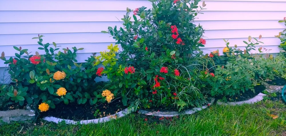 Reliable residential landscaping for homes across St. Petersburg, FL - J&b Trees and Landscaping