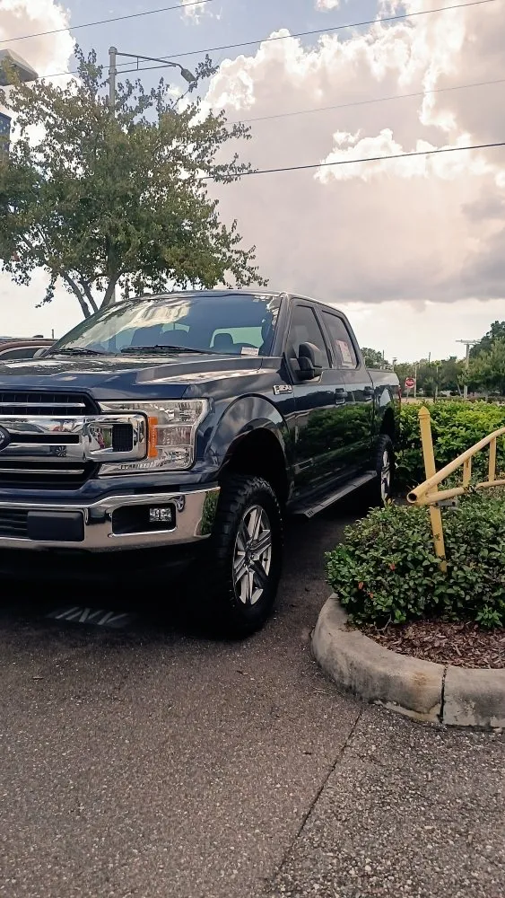 Trusted outdoor landscaping in St. Petersburg, FL - J&b Trees and Landscaping