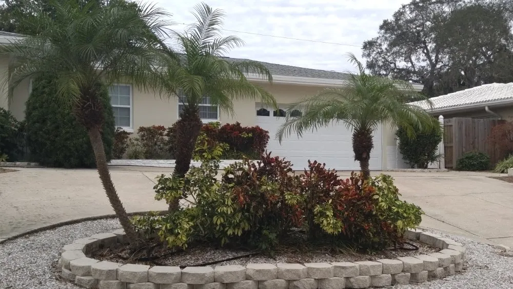 Custom landscape installation near you across St. Petersburg, FL - J&b Trees and Landscaping