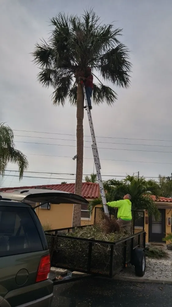 Custom lawn mowing service in St. Petersburg, FL - J&b Trees and Landscaping