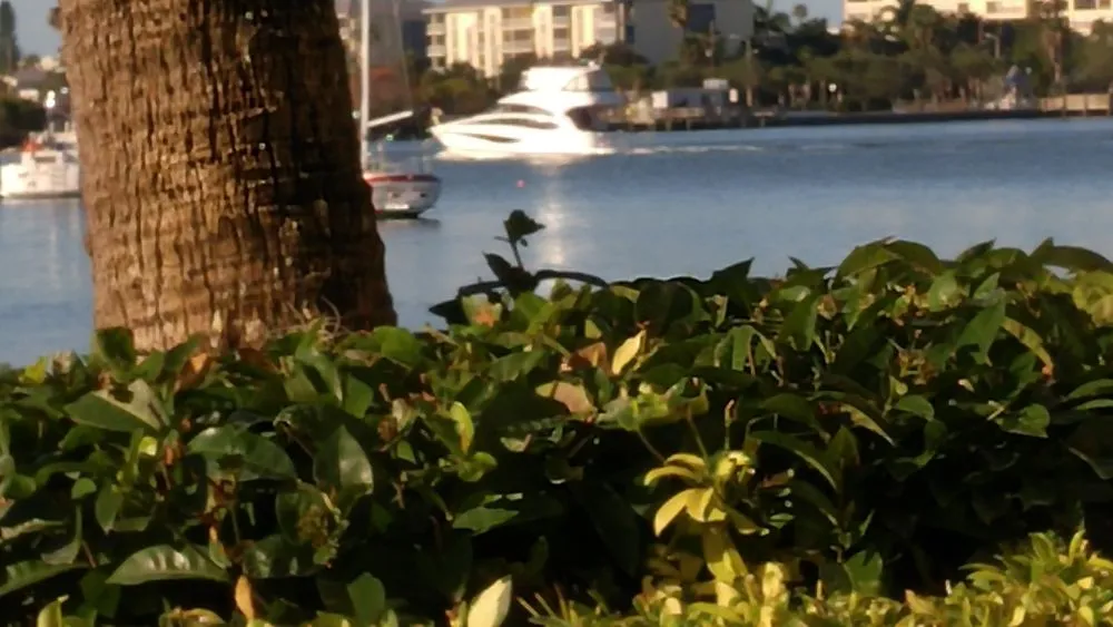 Custom lawn mowing service experts serving St. Petersburg, FL - J&b Trees and Landscaping