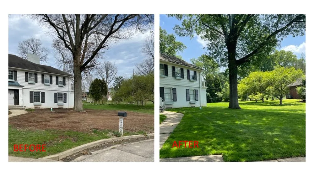 Local residential landscaping in Nashport, OH by J&B Turf Professionals