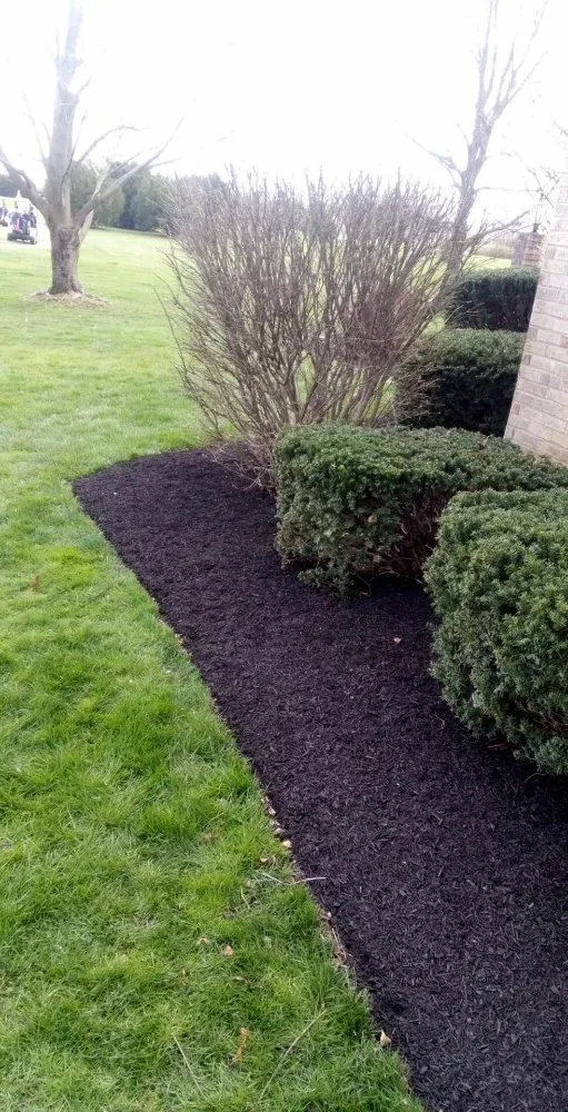 Expert yard cleanup service in New Lebanon, OH - JB Universal