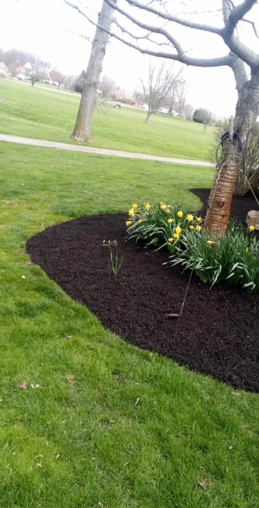 Reliable landscaping services in New Lebanon, OH by JB Universal