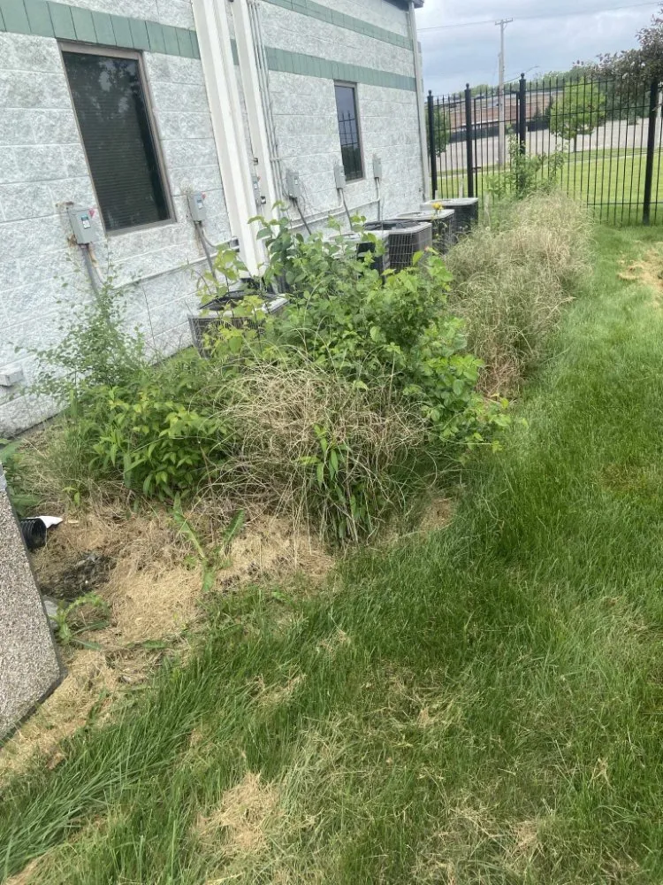 Top-rated yard cleanup service for outdoor upgrades in New Lebanon, OH by JB Universal