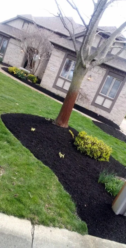 Top-rated yard cleanup service experts serving New Lebanon, OH - JB Universal