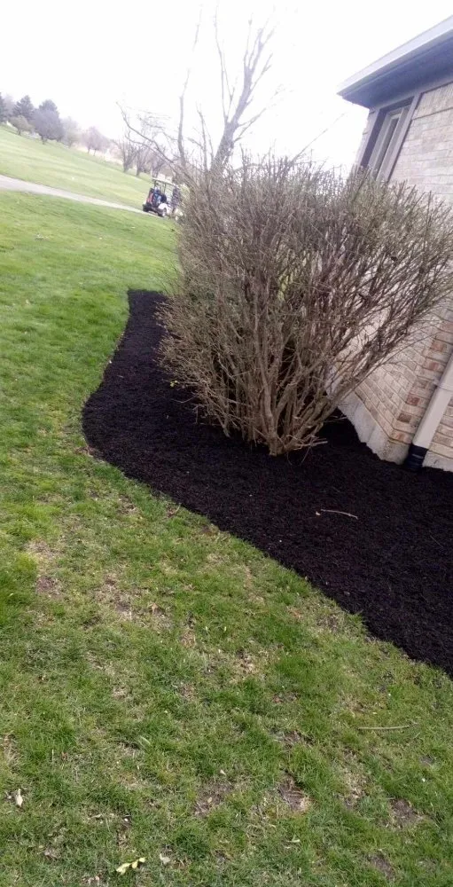 Professional yard cleanup service in New Lebanon, OH by JB Universal