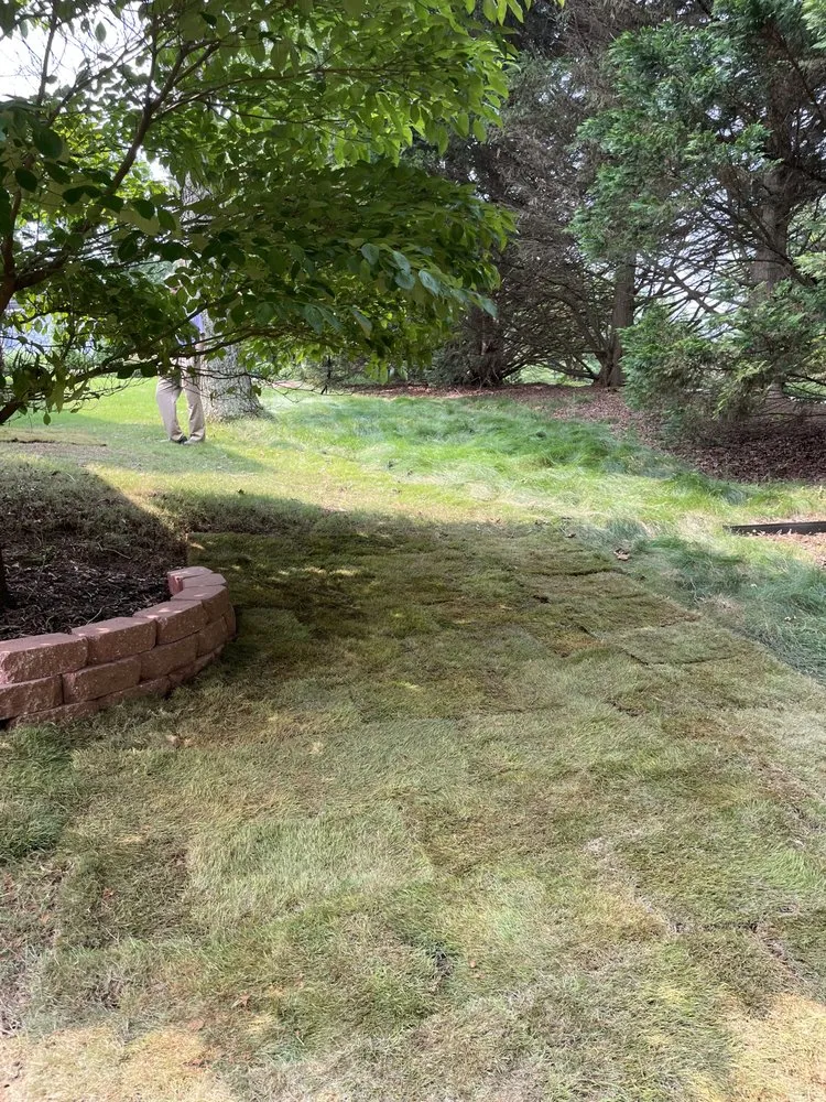 Local yard maintenance in Gainesville, GA by JB Yard & Junk Solutions