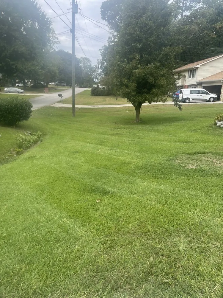 Expert lawn mowing service experts serving Gainesville, GA - JB Yard & Junk Solutions