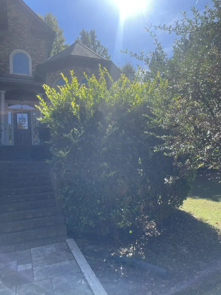 Professional landscaping services in Gainesville, GA - JB Yard & Junk Solutions