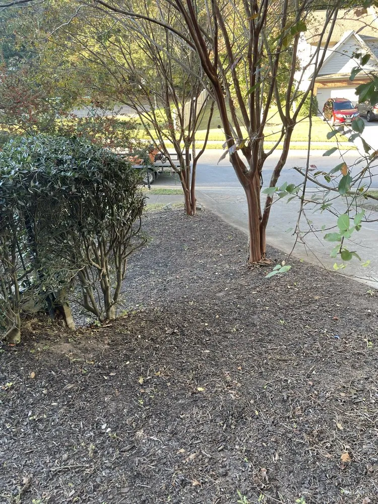 Custom landscaping services in Gainesville, GA by JB Yard & Junk Solutions