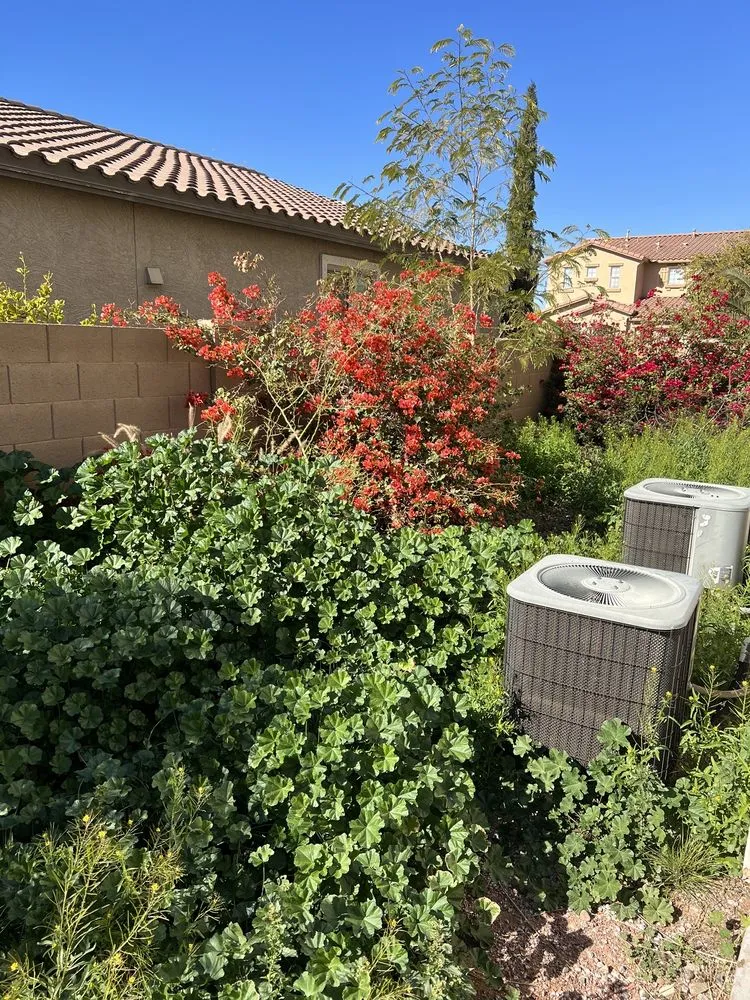 Expert garden landscaping for outdoor upgrades across Maricopa, AZ - JB Yard Maintenance