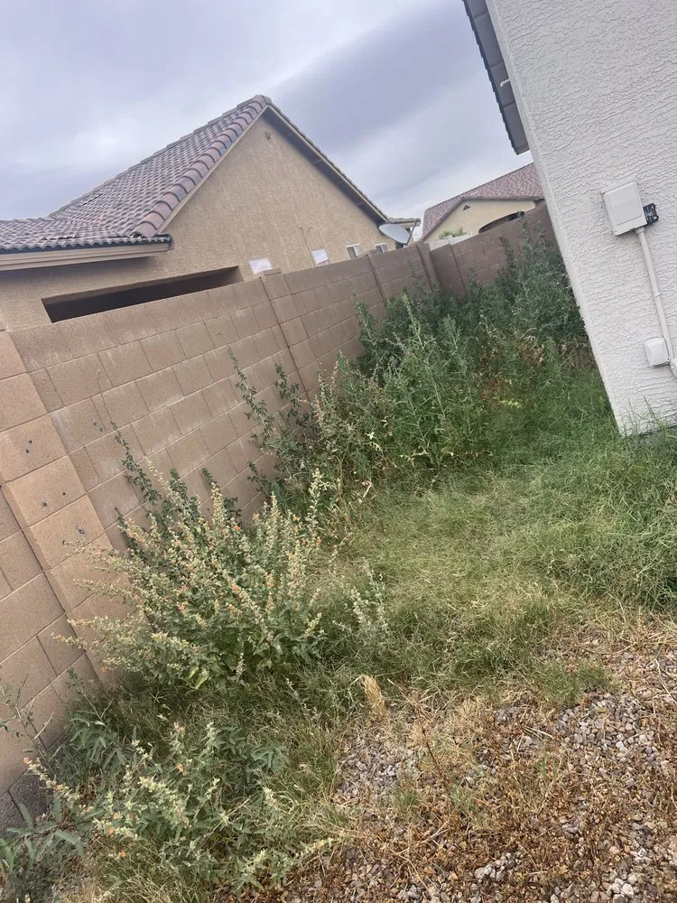 Reliable garden landscaping in Maricopa, AZ by JB Yard Maintenance