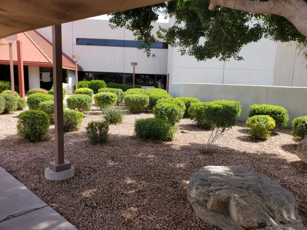 Reliable landscape design in Maricopa, AZ by JB Yard Maintenance