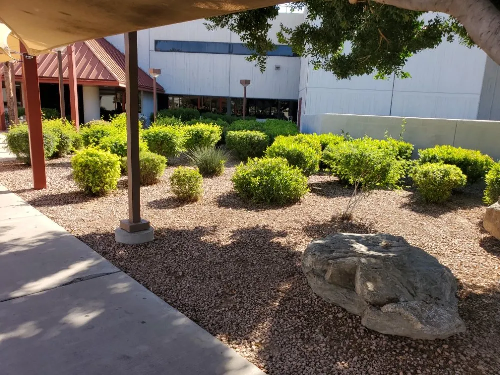 Affordable landscaping services in Maricopa, AZ - JB Yard Maintenance