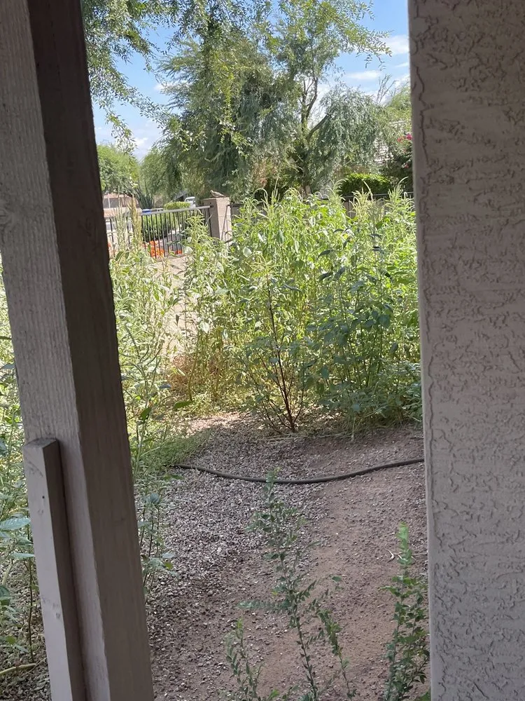 Top-rated landscape installation near you in Maricopa, AZ by JB Yard Maintenance