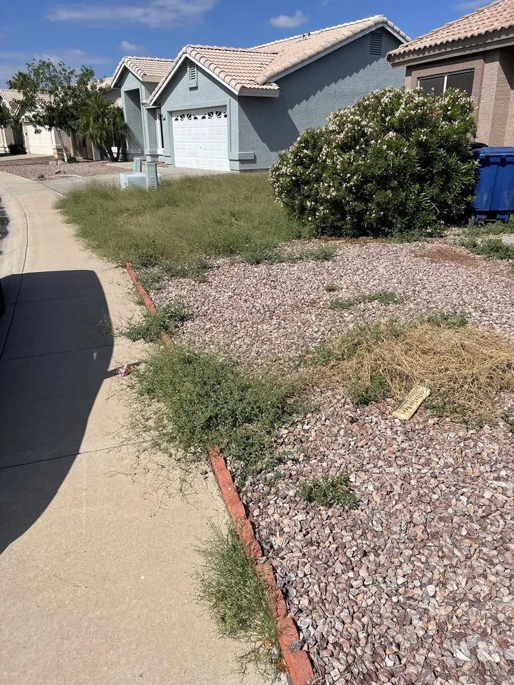 Reliable landscape installation experts serving Maricopa, AZ - JB Yard Maintenance