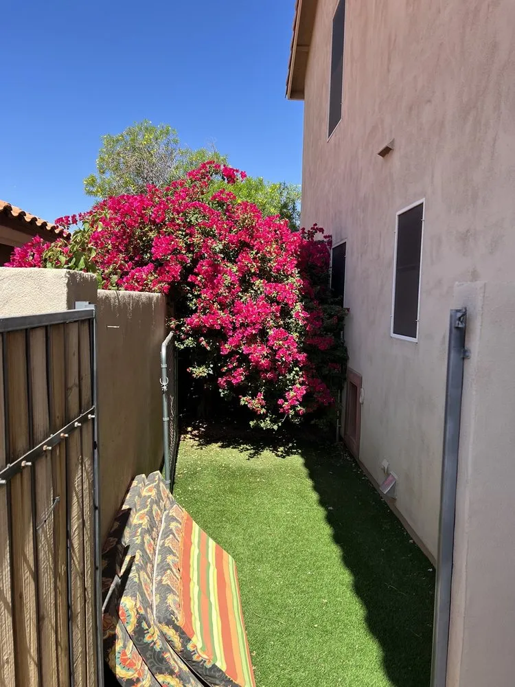 Custom yard cleanup service experts serving Maricopa, AZ - JB Yard Maintenance