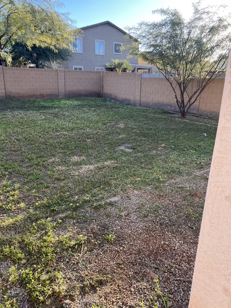 Professional landscaping services for residential properties in Maricopa, AZ by JB Yard Maintenance