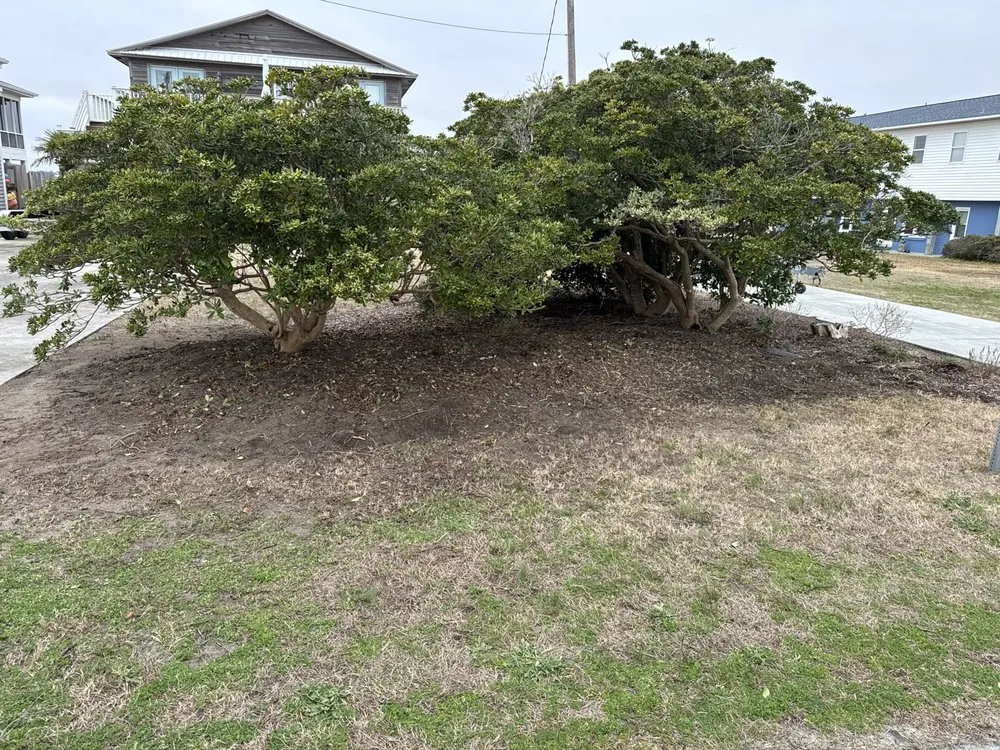 Top-rated outdoor landscaping in Rocky Point, NC by JBC Landscaping Construction