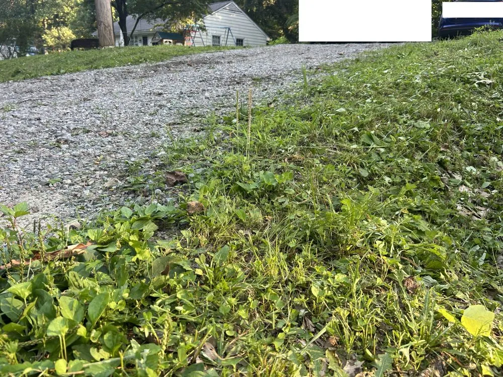 Expert residential landscaping for homes in Phar, TX by JBC Landscaping