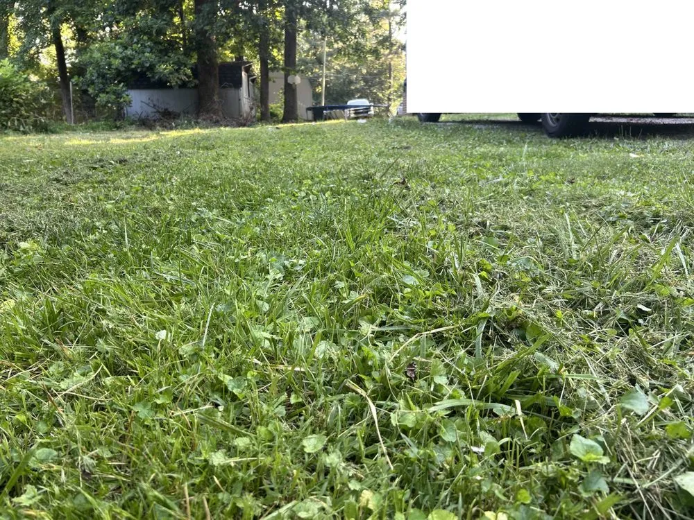 Expert landscape installation experts serving Phar, TX - JBC Landscaping