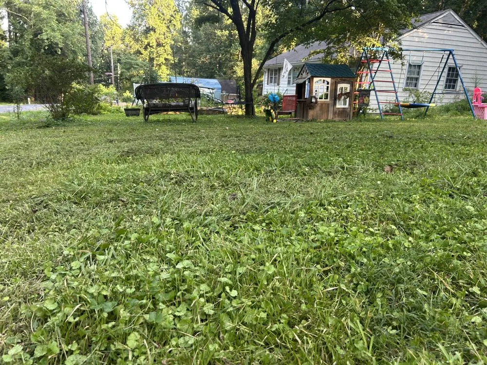 Affordable garden landscaping for beautiful yards across Phar, TX - JBC Landscaping