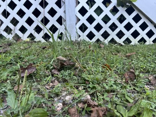 JBC Landscaping