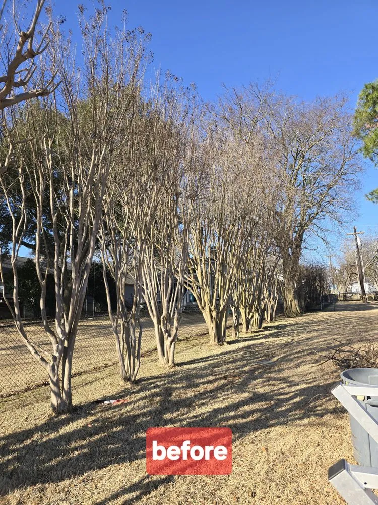 Trusted lawn care service for homes in Kemp, TX by JBC MOWING LLC