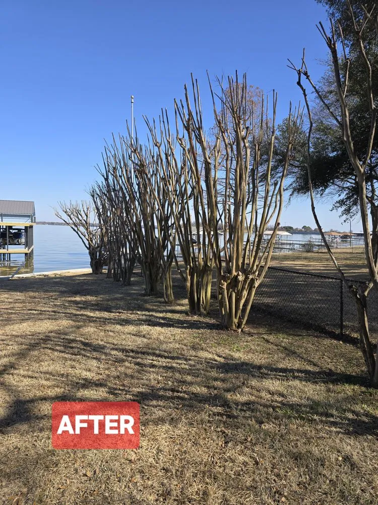 Local landscaping services near you across Kemp, TX - JBC MOWING LLC