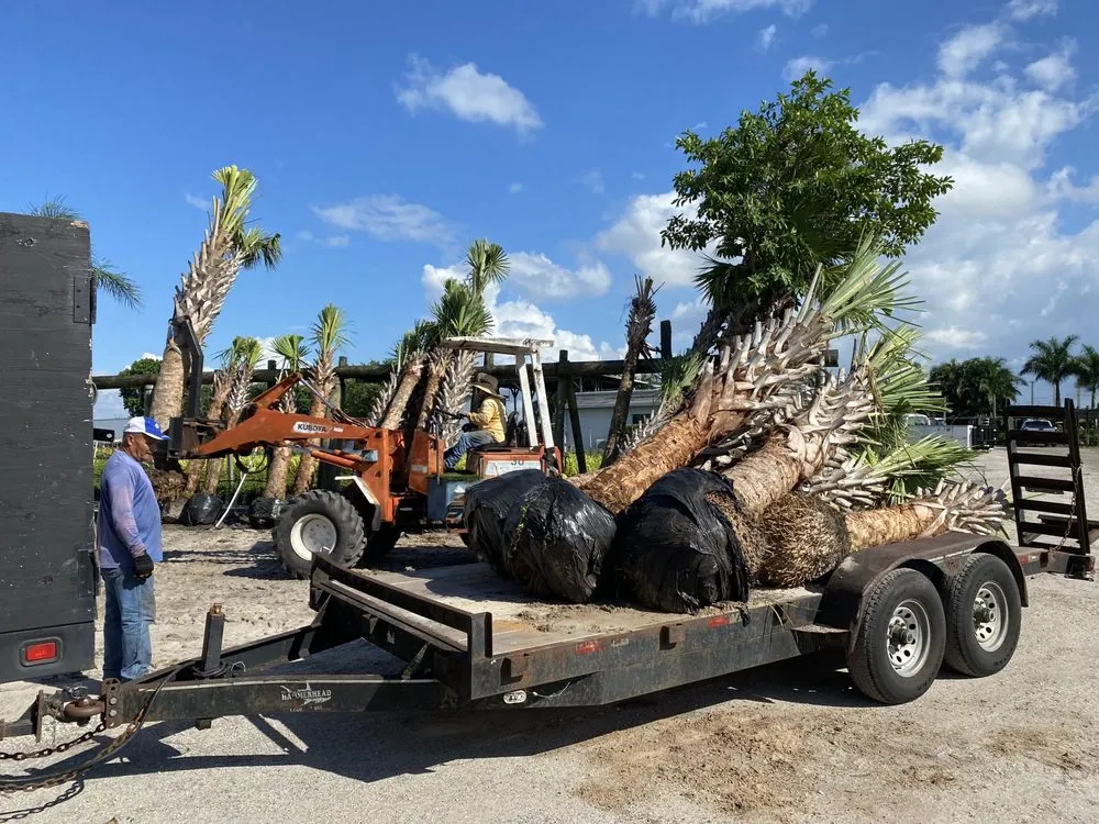 Trusted landscape design in Loxahatchee, FL - JBF Lawn Maintenance and Landscaping LLC