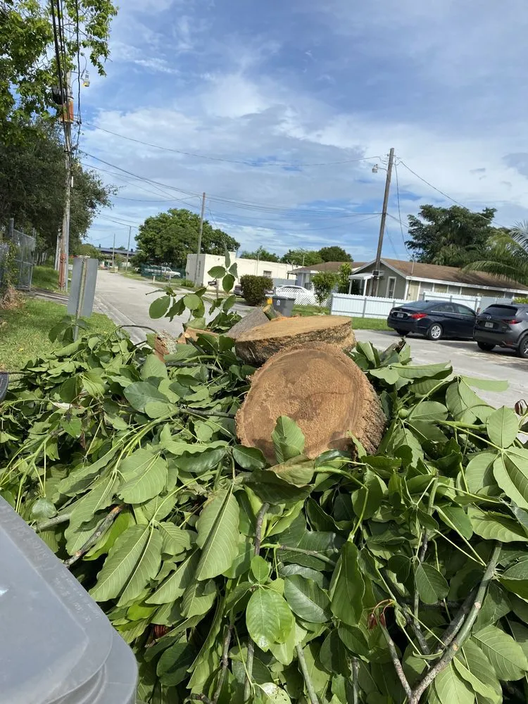 Professional yard cleanup service in Loxahatchee, FL - JBF Lawn Maintenance and Landscaping LLC