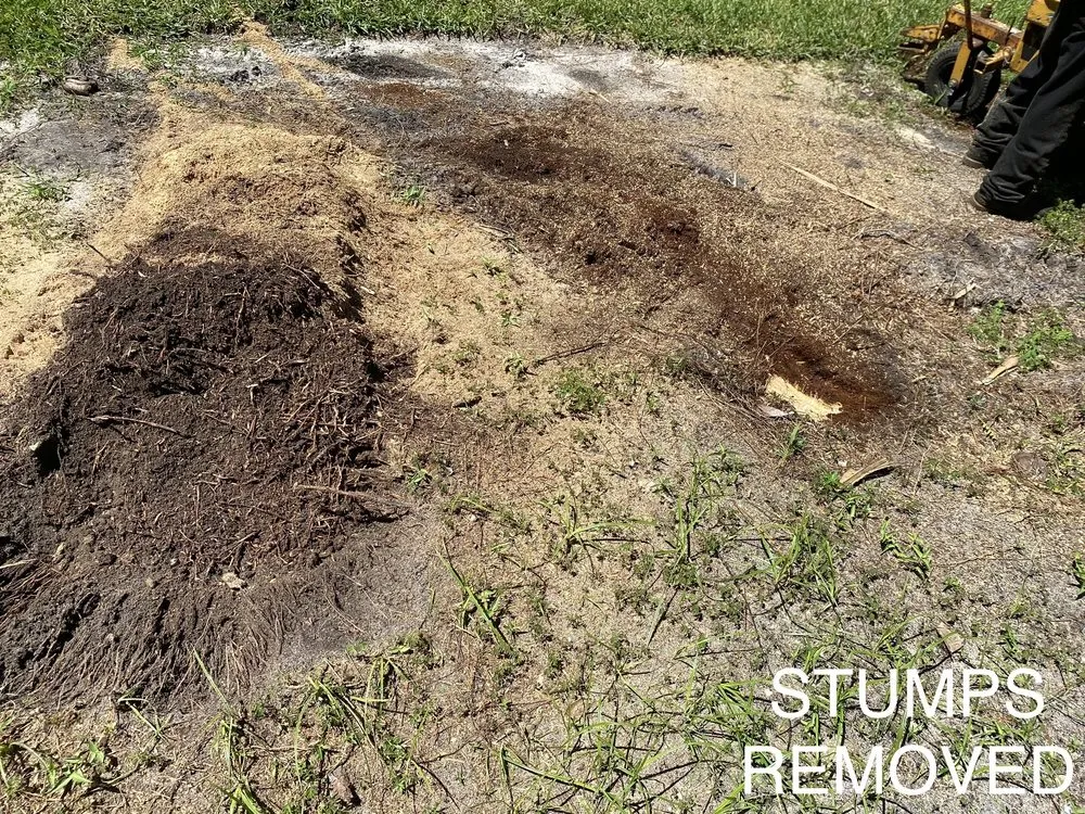 Custom yard cleanup service for beautiful yards in Loxahatchee, FL by JBF Lawn Maintenance and Landscaping LLC