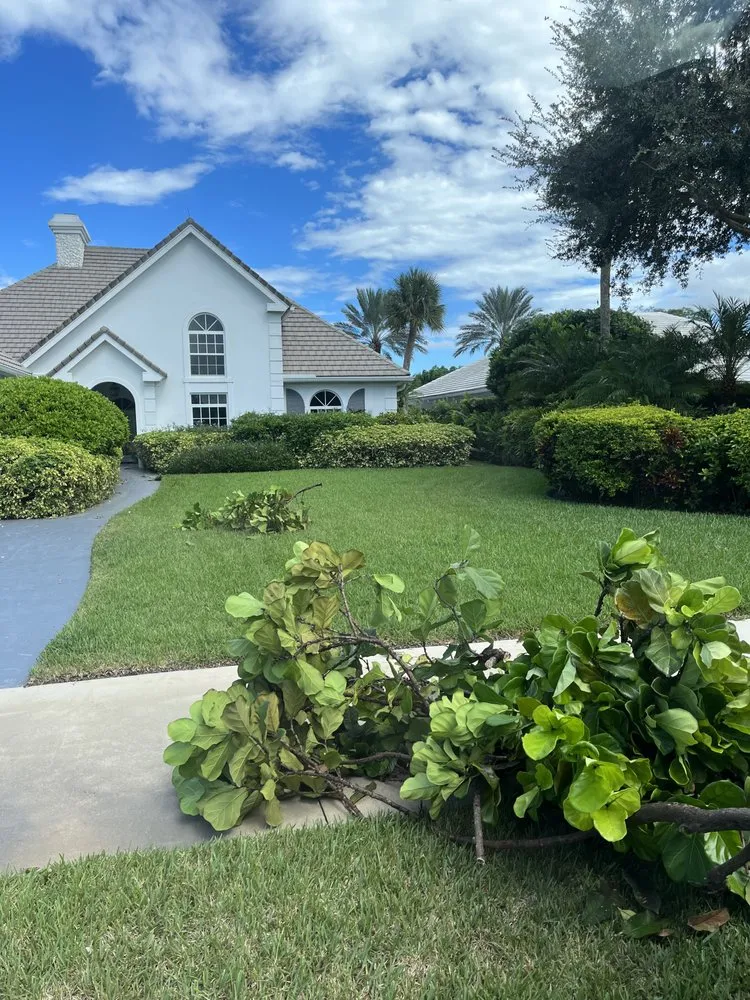 Expert yard cleanup service in Loxahatchee, FL - JBF Lawn Maintenance and Landscaping LLC