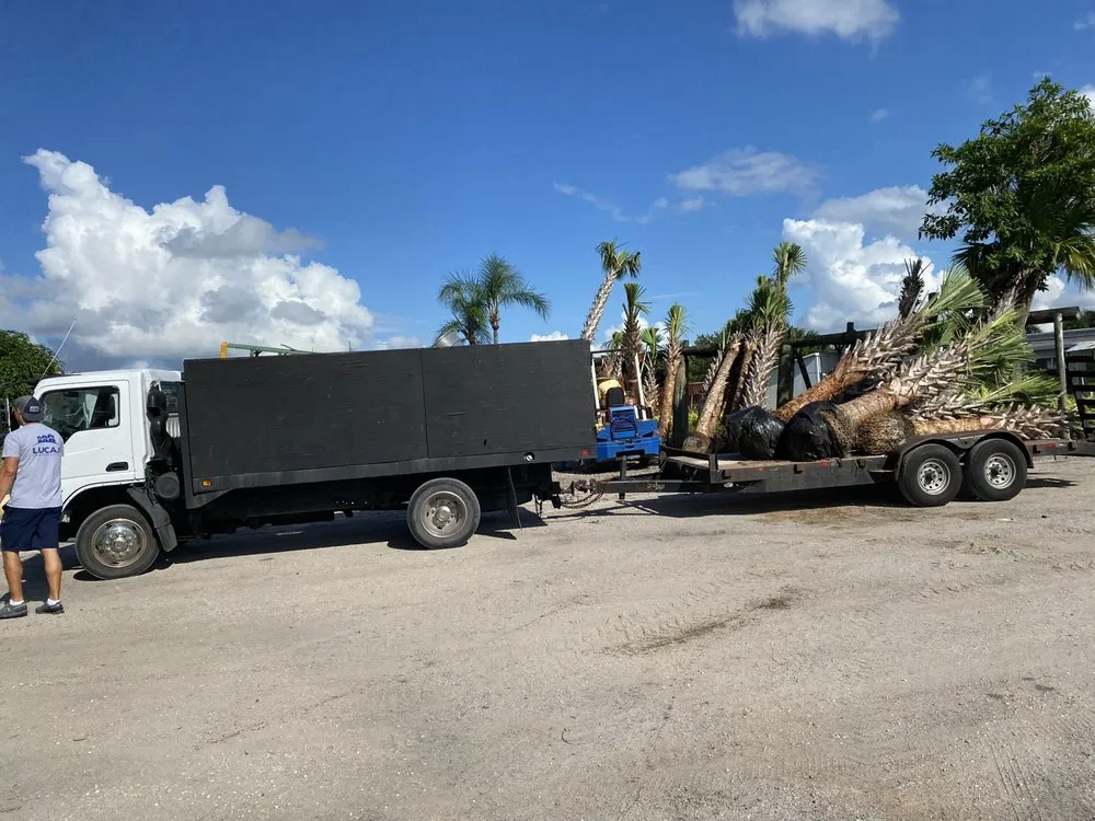 Expert lawn care service experts serving Loxahatchee, FL - JBF Lawn Maintenance and Landscaping LLC