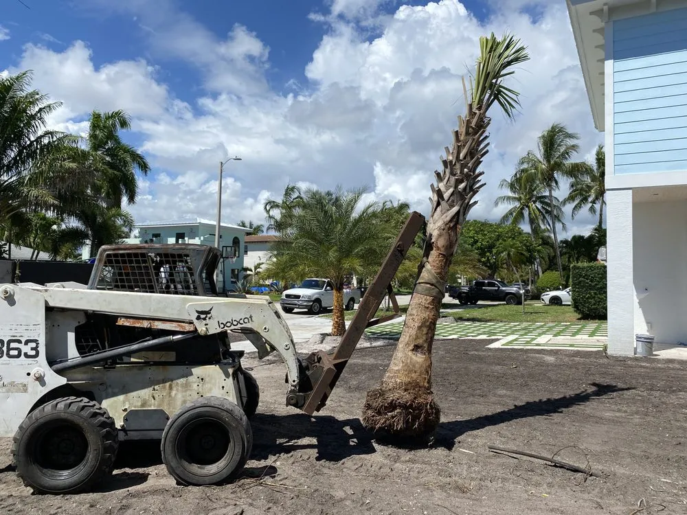 Affordable landscaping services with custom design in Loxahatchee, FL by JBF Lawn Maintenance and Landscaping LLC