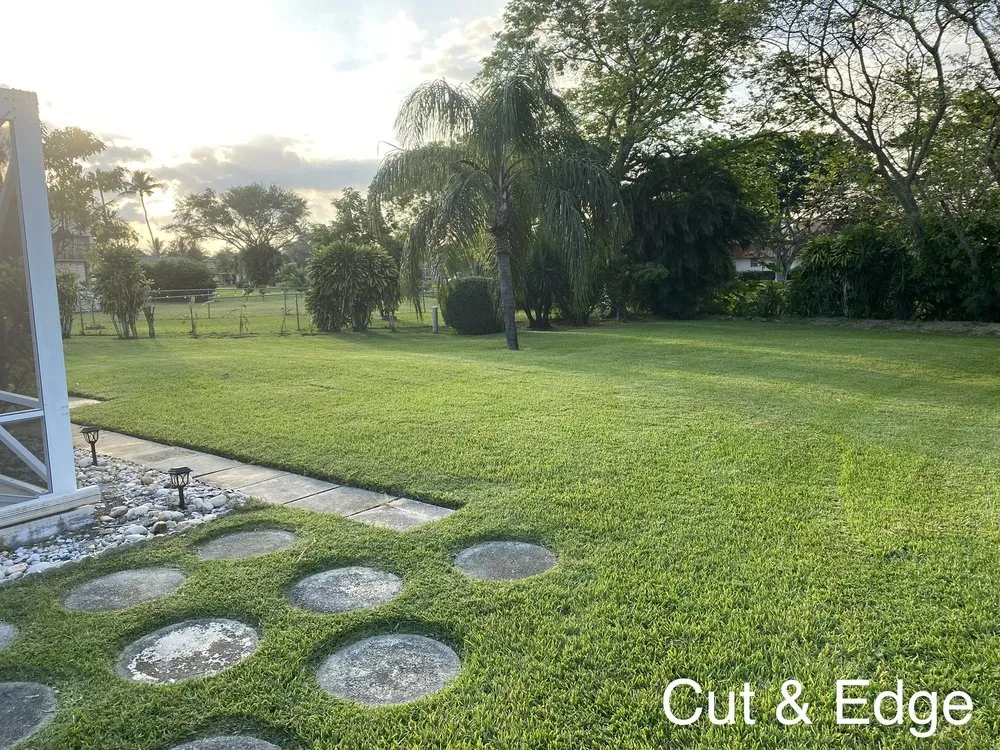 Top-rated yard cleanup service for residential properties in Loxahatchee, FL by JBF Lawn Maintenance and Landscaping LLC