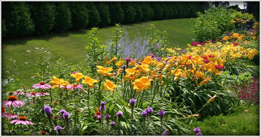 Expert yard maintenance experts serving Danbury, CT - JBJ Landscaping Service