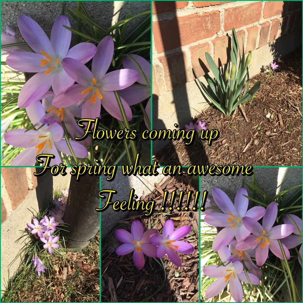 Professional garden landscaping experts serving Danbury, CT - JBJ Landscaping Service