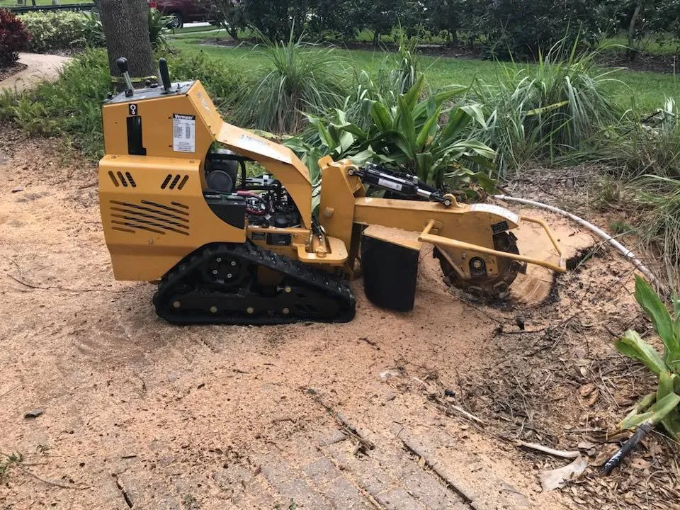 Trusted landscape installation experts serving Cooper City, FL - JBK Trees