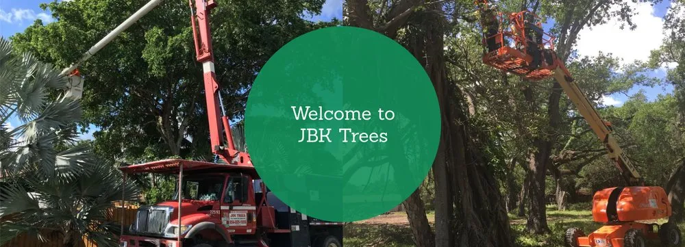 Trusted outdoor landscaping in Cooper City, FL - JBK Trees